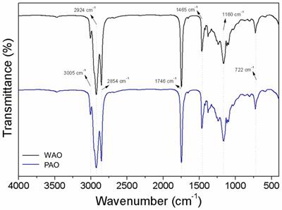 Lipids from the purple and white açaí (Euterpe oleracea Mart) varieties: nutritional, functional, and physicochemical properties